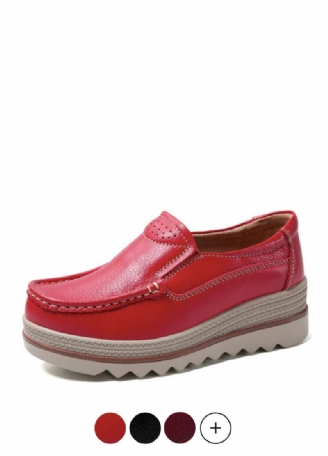 Ari Platform