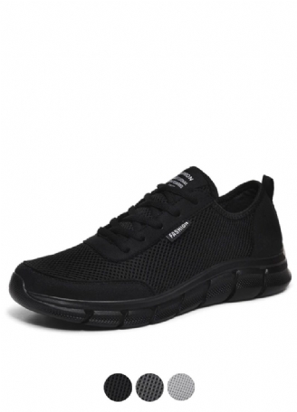 Aucedo Herresneaker