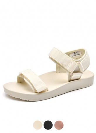 Carey Damesandaler