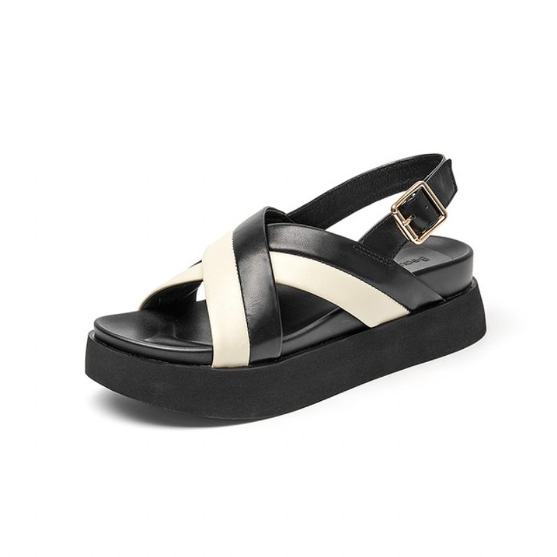 Catalina Sandal Til Kvinder - Sort