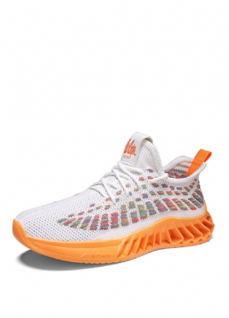 Clark Mode Sneakers Til Mænd