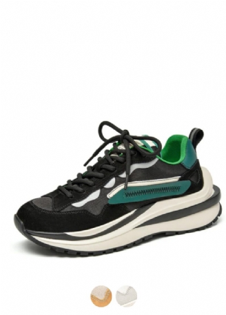 Dali Sneaker I Læder Med Snørebånd Til Kvinder