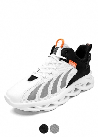 Danzo Casual Sneakers Til Mænd