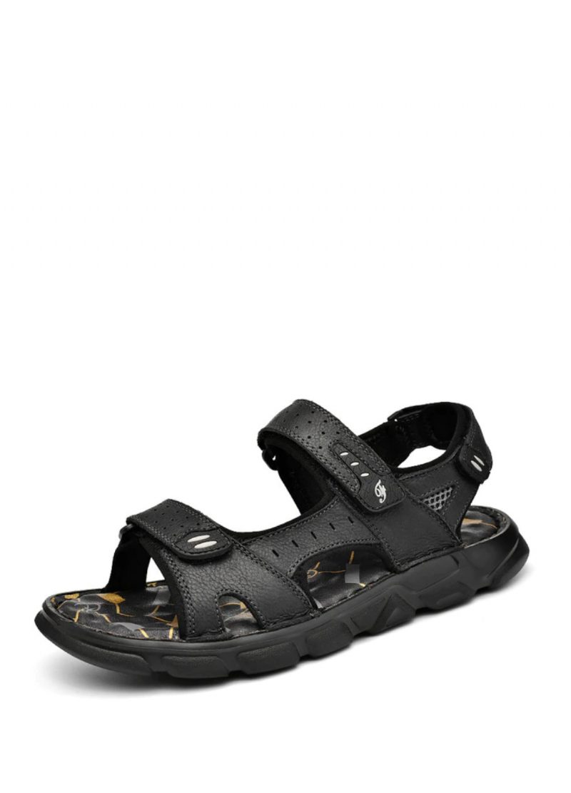 Diego Herresandaler