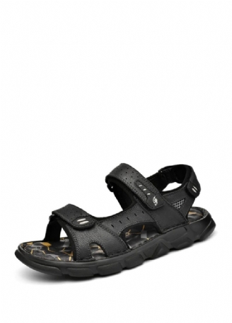 Diego Herresandaler