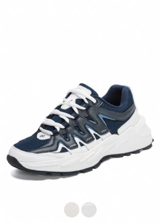 Donato Mode Sneakers Til Mænd