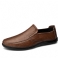 Brun 1