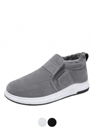 Fran Herresneaker