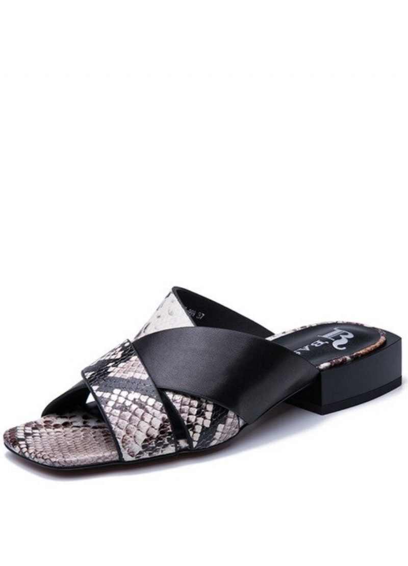 Frankrig Sandaler