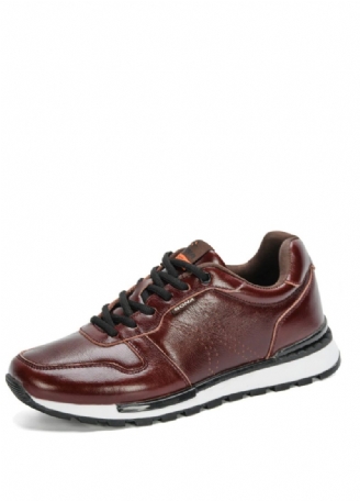 Grayson Mode Sneakers Til Mænd