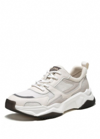 Greyber Casual Sneakers Til Mænd