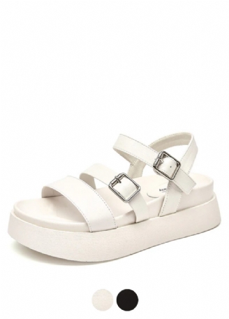Lucy Damesandaler