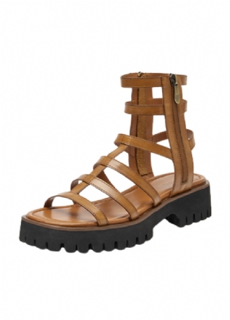 Morelia Gladiator Sandal Til Kvinder