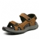 Brun 1