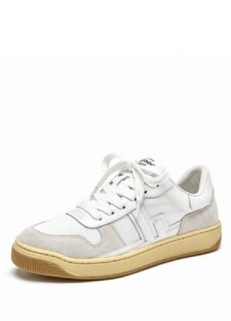 Picco Sneaker Læder Snøresko Til Kvinder