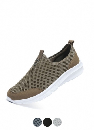 Pinto Herresneaker