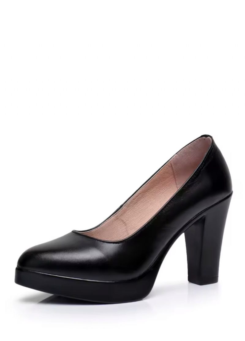 Raquel Dame Pumps Med Spids Tå