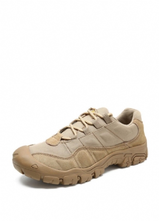 Rokoko Herresneakers