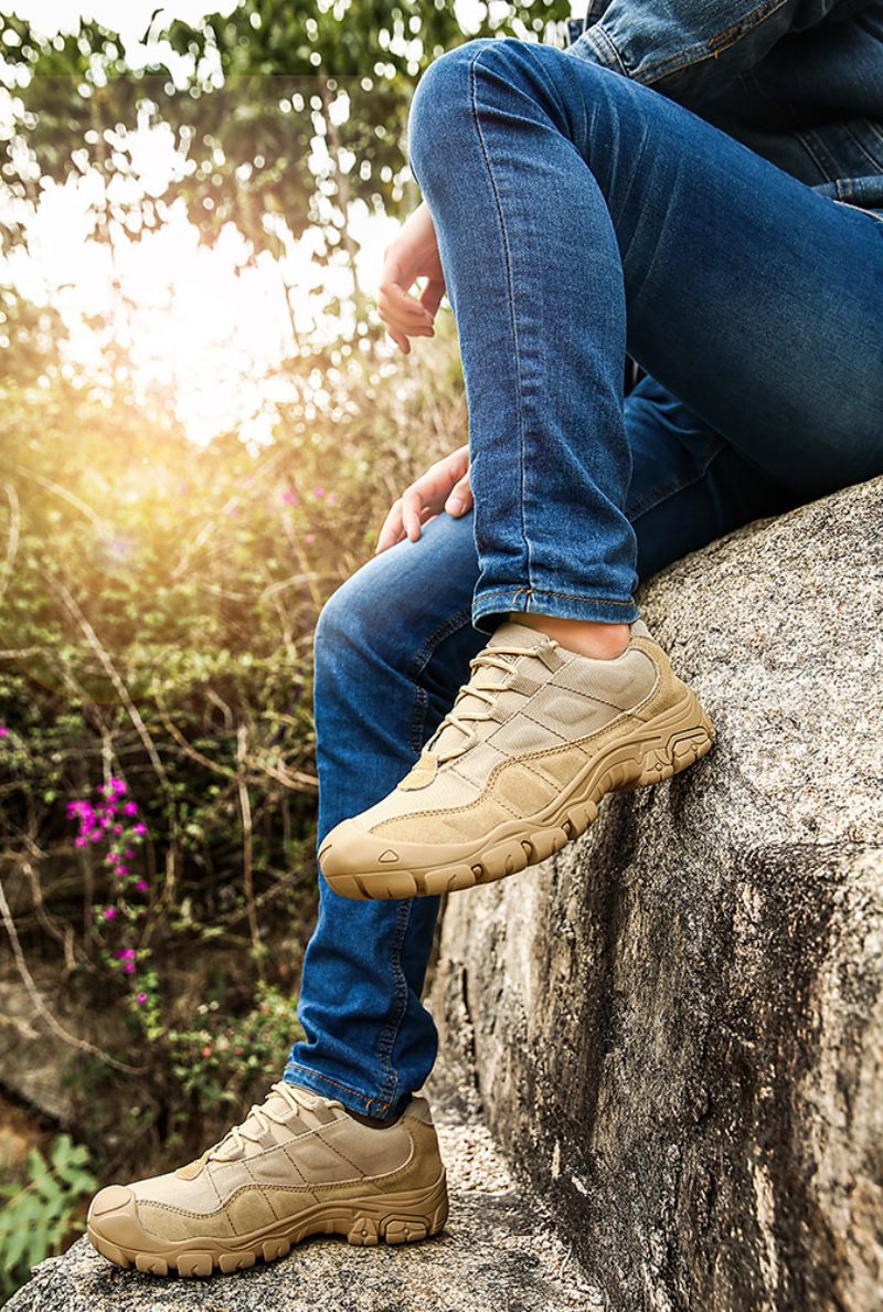 Rokoko Herresneakers - Sand