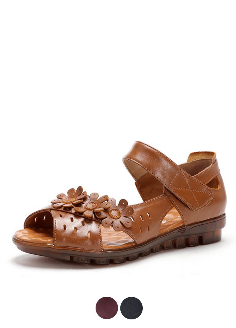 Shannon Damesandaler