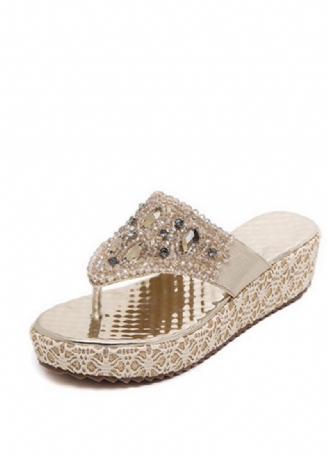Sherlyn Damesandaler Platform